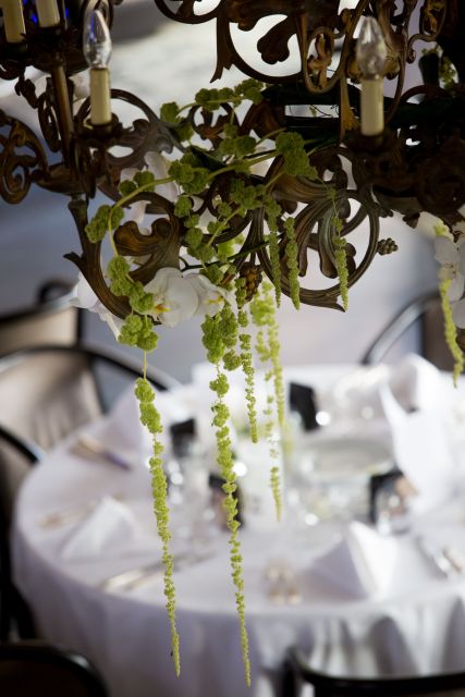 La reserve Albi Mariage