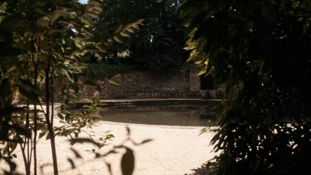 plan d'eau, parc La Réserve Albi