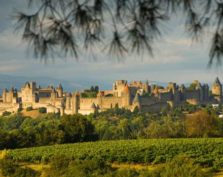 La Réserve Albi, Albi, ville de Carcassonne