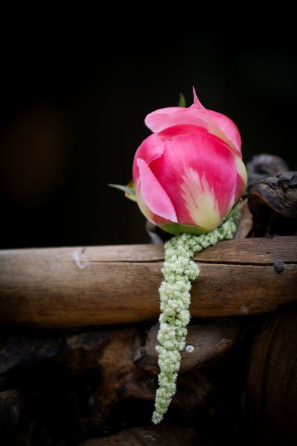 La reserve Albi Mariage